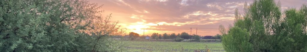 The Sun is rising.